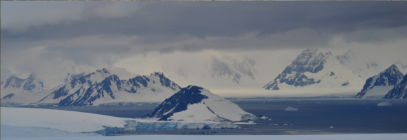 antarticque