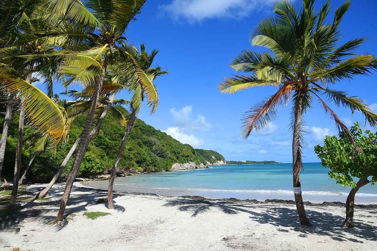 Visiter Guadeloupe 1 Semaine.html