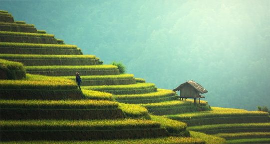 Le secteur du tourisme au Cambodge a longtemps été un pilier de la croissance économique et de l'emploi. Grâce à ses richesses naturelles, culturelles et historiques, le pays attire chaque année des millions de visiteurs étrangers. Cependant, ce secteur florissant a été profondément perturbé par la pandémie de COVID-19, laissant des traces durables et exposant des défis structurels qui nécessitent une attention urgente.