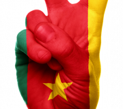 Visa Cameroun, Ghana, Nigeria Tourisme Afrique de l'Ouest