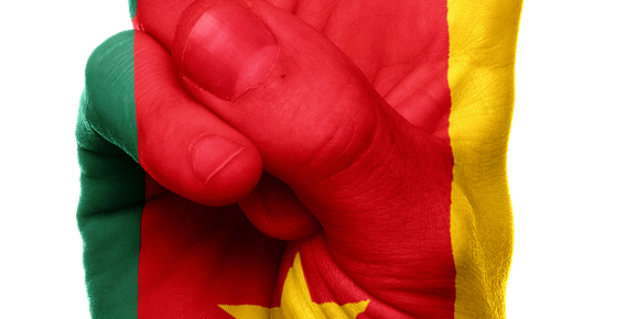 <p>Pour le Cameroun en particulier, il est aujourd'hui possible d'obtenir un visa pour le Cameroun en ligne via un prestataire spécialisé, ce qui évite le déplacement au consulat et sécurise la vérification du dossier avant soumission.</p>